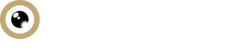 Zurich Film Festival